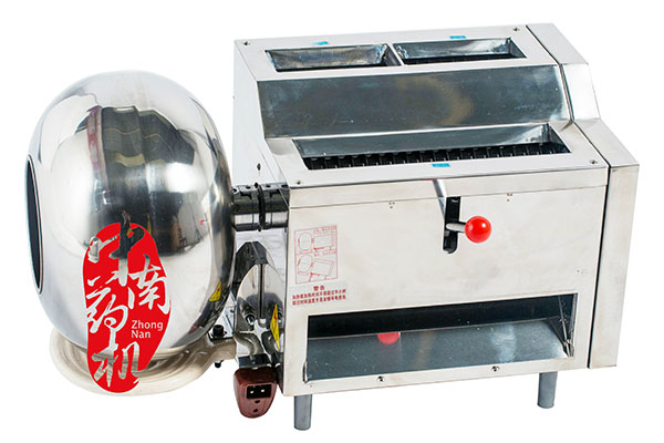 DZ-40中药制丸机